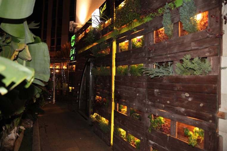 Fertil Pub on Saturday Night